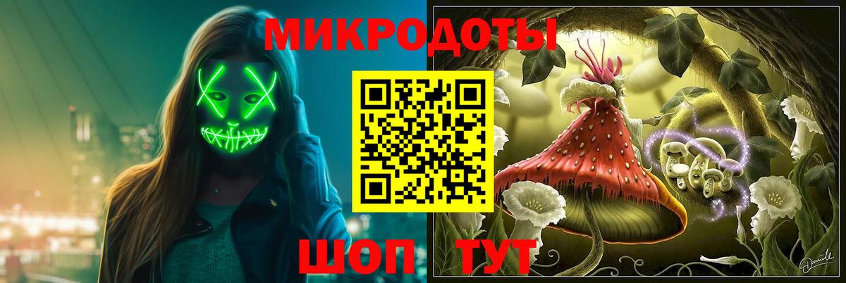 Элиста  Галлюциногенные грибы Psilocybine cubensis  Вход с VPN 